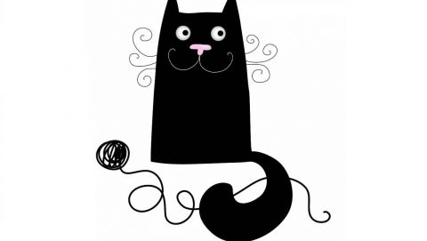 Dzień czarnego kota