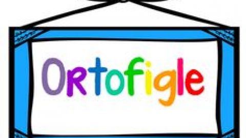 Ortofigle – biblioteka podpowiada